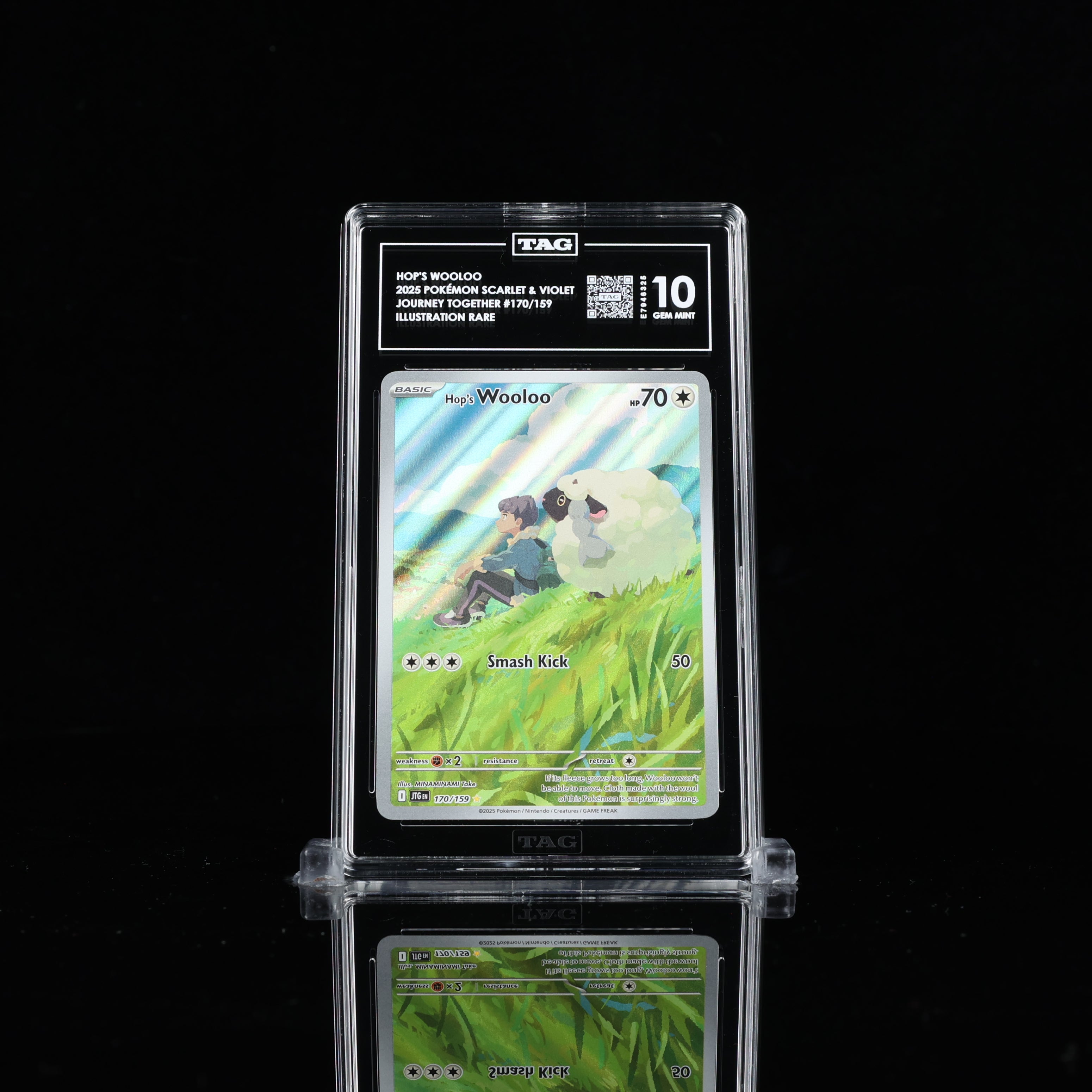 TAG 10 Hop's Wooloo 170/159